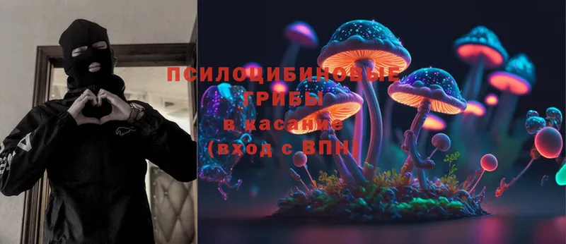 Псилоцибиновые грибы MAGIC MUSHROOMS  Беломорск 